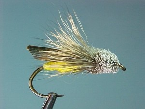 letorthopper-400.jpg