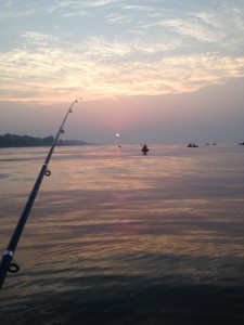 IMG_3111.jpg