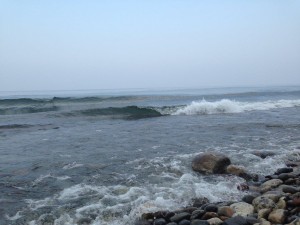 IMG_3102.jpg