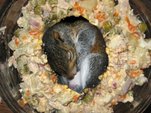 2.png