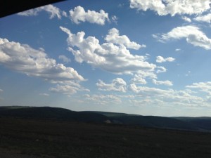 IMG_2991.jpg