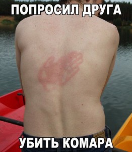 комар.jpg
