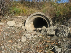 Вода текла под дорогой Смоленщина-Баклаши.JPG