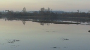 DSC01495.JPG