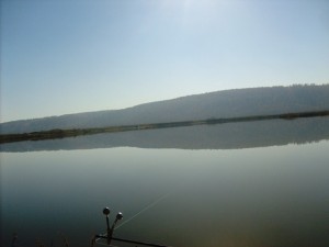 S6303148.JPG