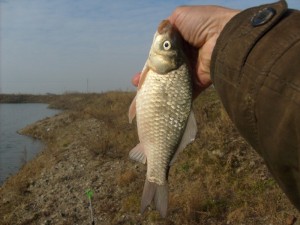 S6303169.JPG