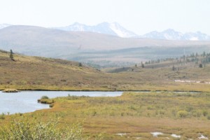 IMG_0527.JPG