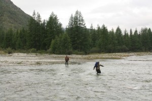 IMG_2212.JPG