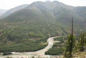 IMG_2278.JPG