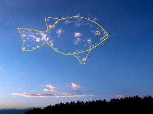 Рыба облако.jpg
