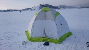 DSC_7395.JPG