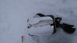 DSC_1048.JPG