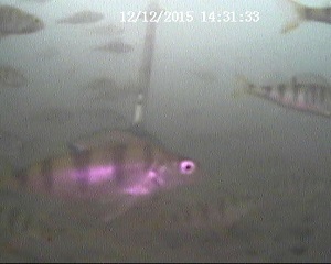 20151212143132.JPG