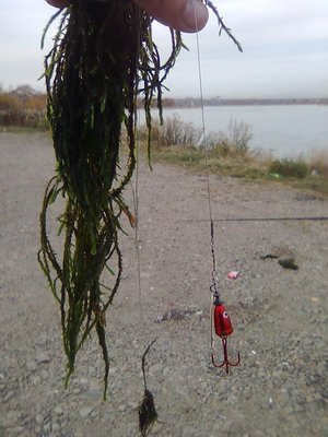 Блесна.jpg