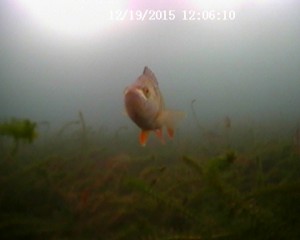 20151219120610.JPG
