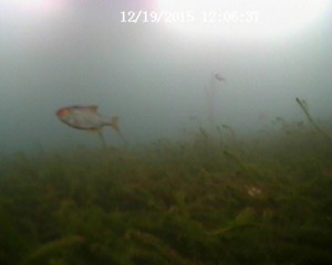 20151219120637.JPG