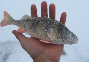 IMG_5634.JPG