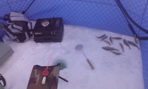 IMG_20160116_093751.jpg