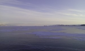 IMG_20160116_094626.jpg