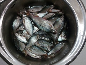 18.01.16. Сенной.jpg