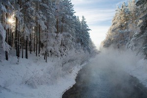 DSC_9668.jpg