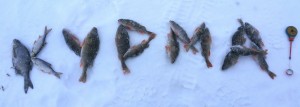 20160225_165710.jpg
