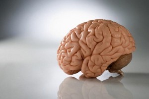 74443.jpg