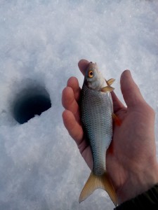 IMG_20160308_161916.jpg