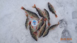 DSC00986.JPG