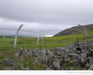DSCN1466.JPG