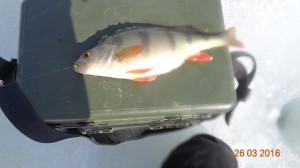 DSC01002.JPG