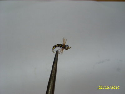 STP61930_resize.JPG