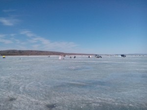 IMG_20160409_123202.jpg