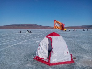 IMG_20160409_143348.jpg