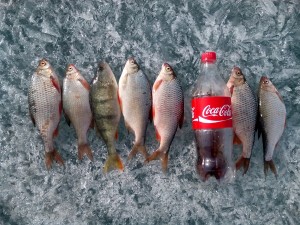 IMG_20160409_164802.jpg