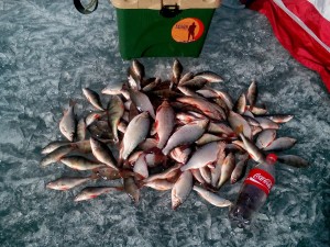 IMG_20160409_164955.jpg