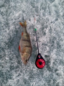 IMG_20160409_165526.jpg