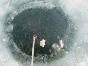 IMG_1037.JPG