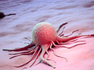 0b13a412-4493-40b2-abb7-a6c6c32e8d61_320x240.png