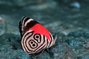 594-730x484.jpg