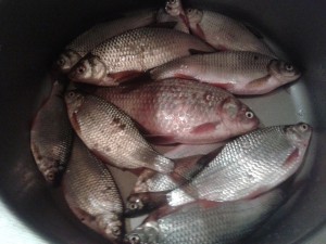 20160415_215822.jpg