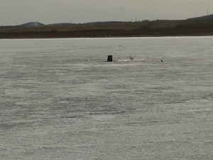 20160415_141638.jpg