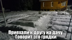 дача.jpg