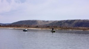 Телла 2.JPG