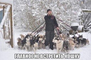 псаки.jpg