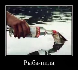 20680611_3553418449.jpg