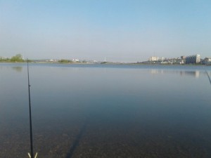 20160523_073810_500x375.jpg