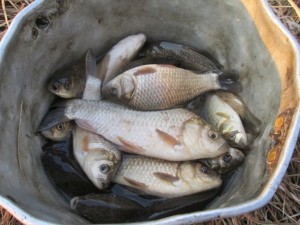 IMG_1105.JPG