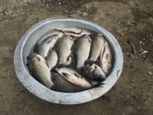 IMG_1073.JPG