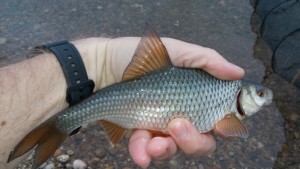 20160526_201303.jpg